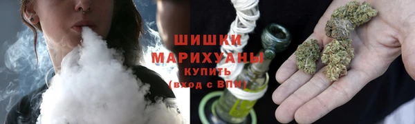 МДПВ Липки