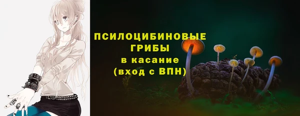 гидра Магас
