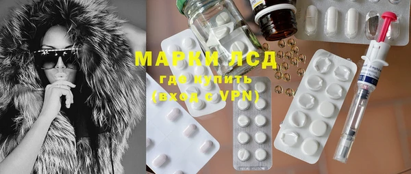 гидра Магас