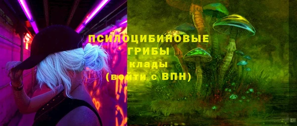 МДПВ Липки