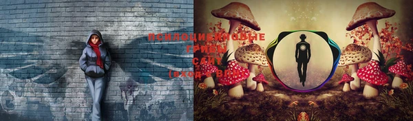 МДПВ Липки