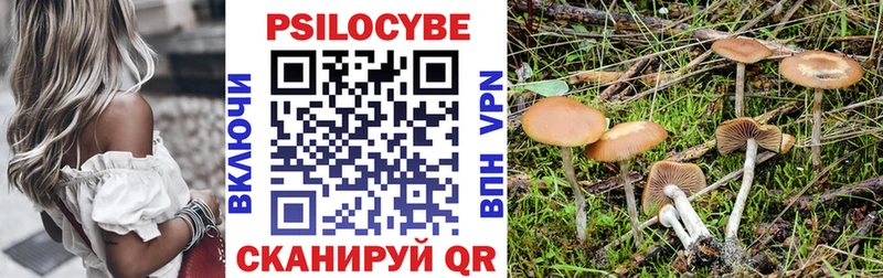 где найти наркотики  Фролово  Галлюциногенные грибы Cubensis 