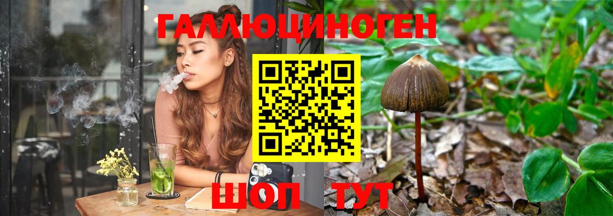 Псилоцибиновые грибы GOLDEN TEACHER Фролово